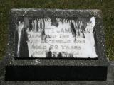 image of grave number 879343